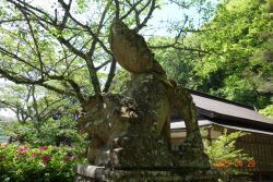 DSC04320b.JPG